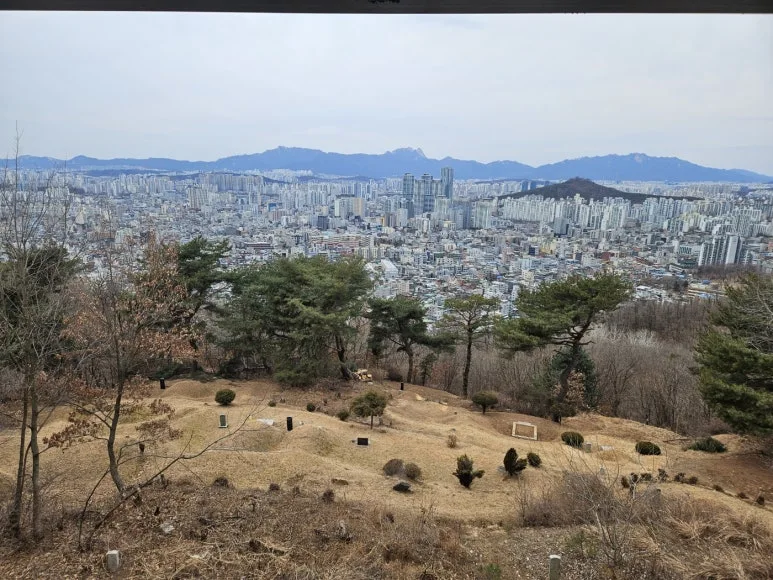 KakaoTalk_20250205_075922645.jpg?type=w773