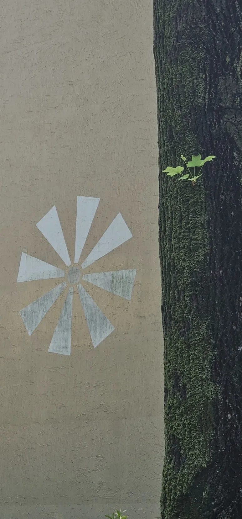 temp_1718578139545.-874197583.jpeg?type=w773