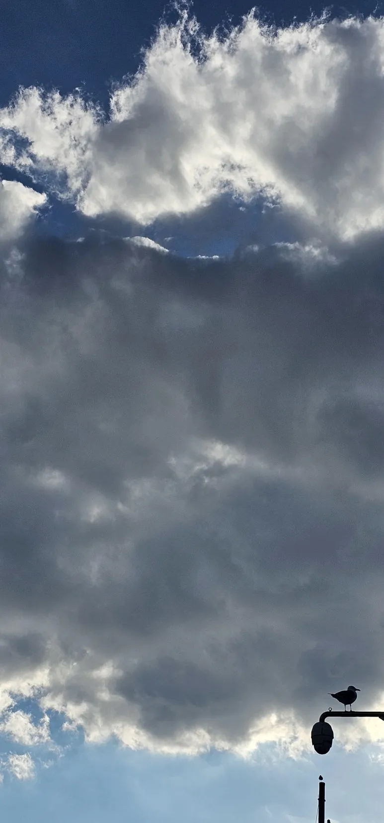 temp_1717714285392.1988130940.jpeg?type=w773