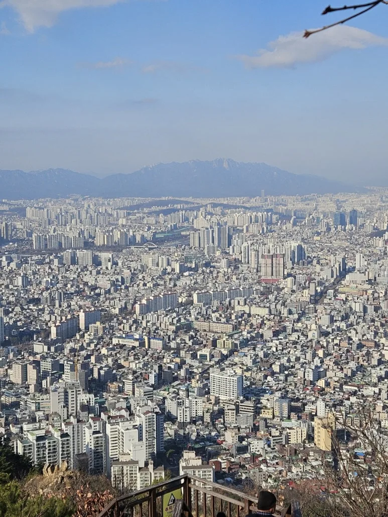 KakaoTalk_20241220_065245048.jpg?type=w773