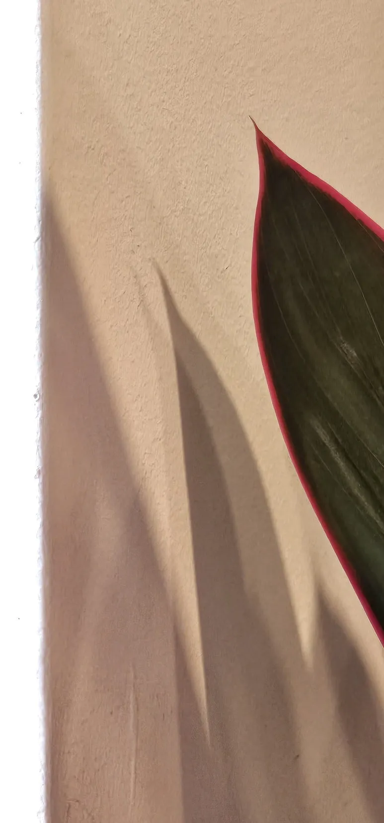 KakaoTalk_20240913_074013487.jpg?type=w773