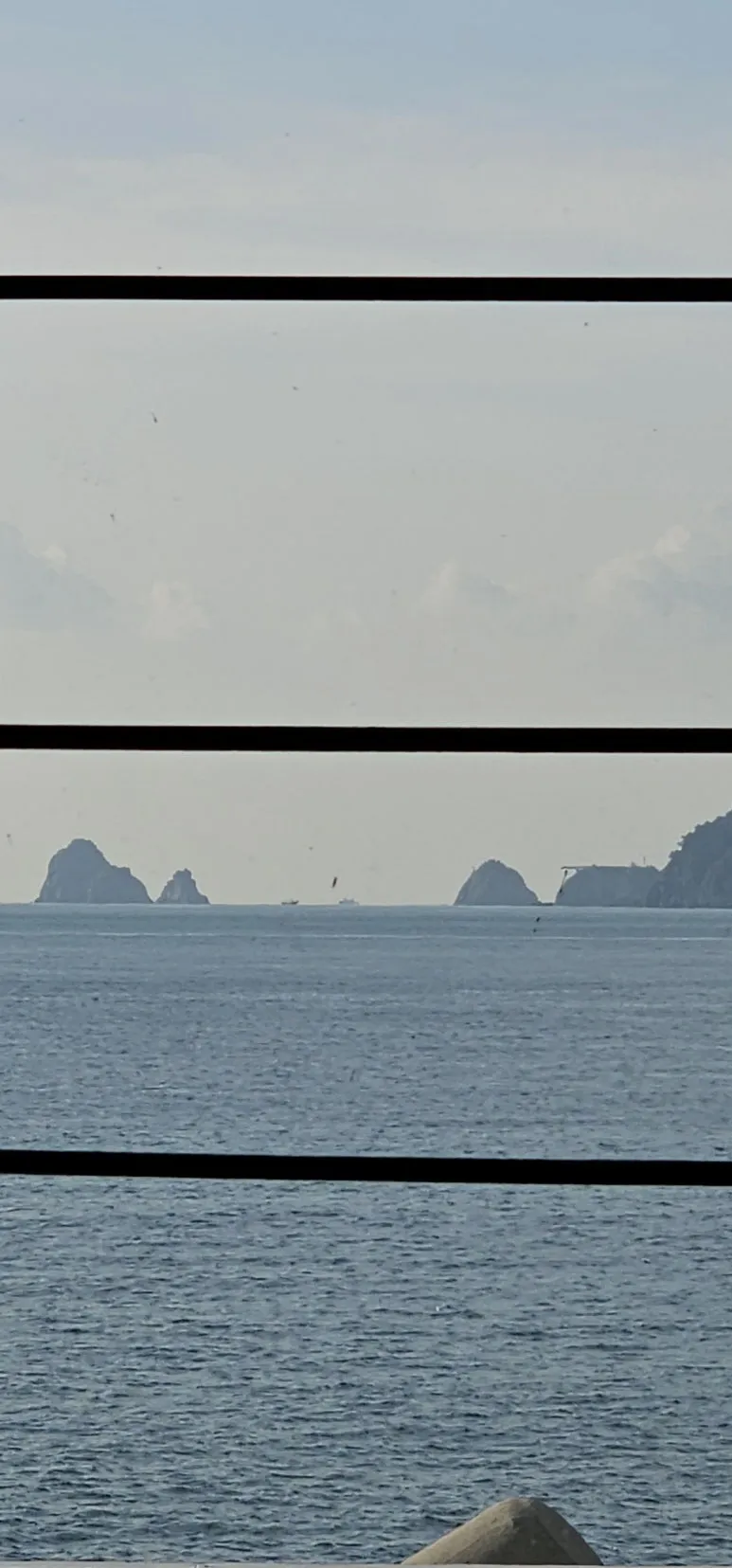 KakaoTalk_20241217_073000661.jpg?type=w773