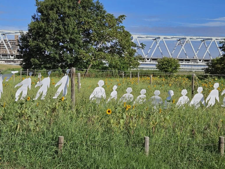 20230903_072726.jpg?type=w773