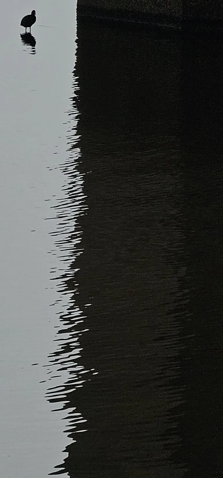 temp_1716332641420.-131735402.jpeg?type=w773