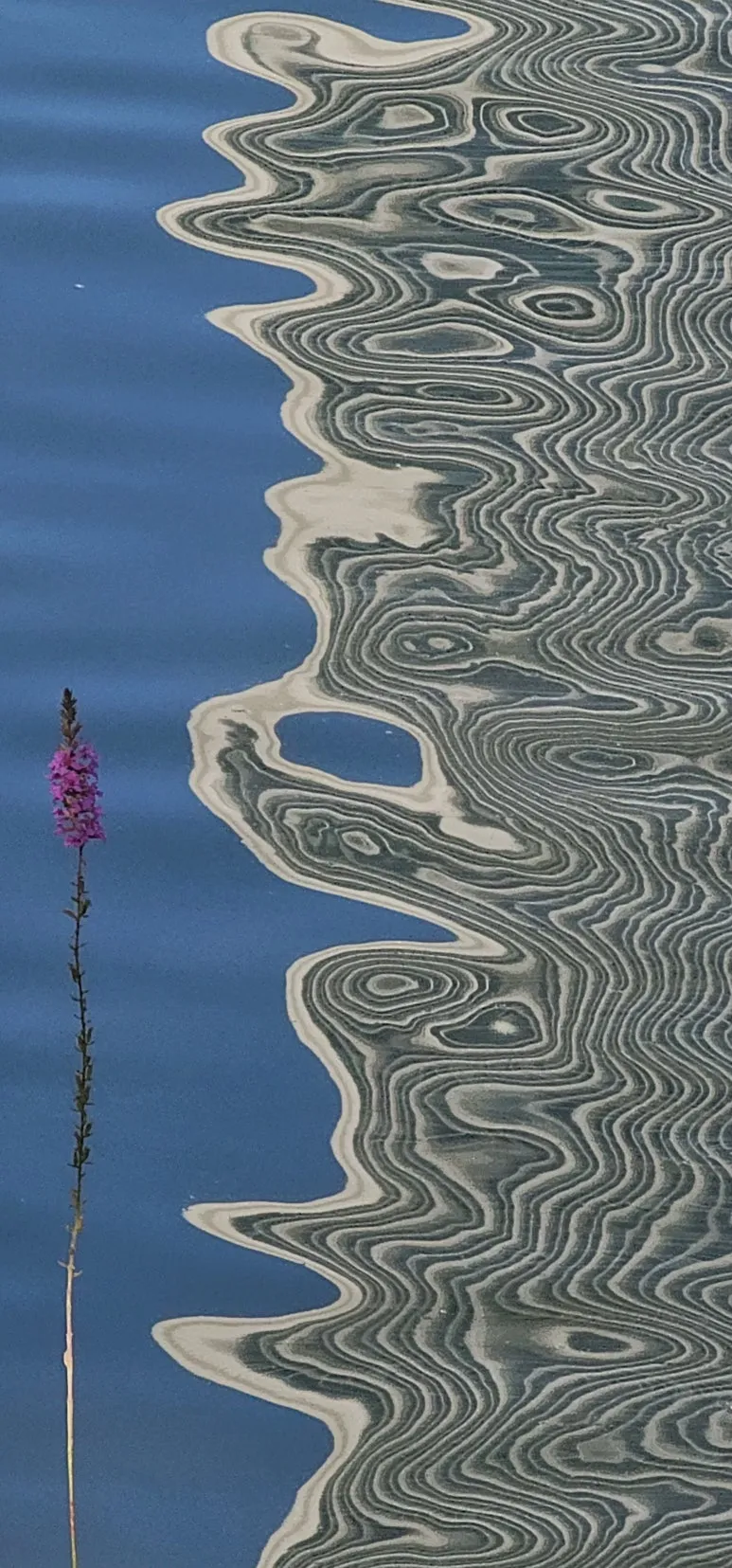 temp_1728514811689.-1844981333.jpeg?type=w773