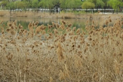 temp_1652221659555.1886829217.jpeg?type=w773