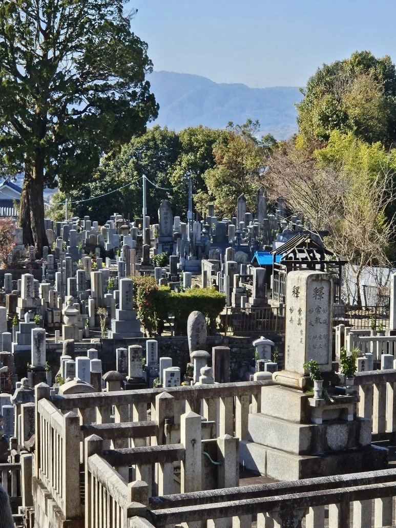 20240117_120520.jpg?type=w773