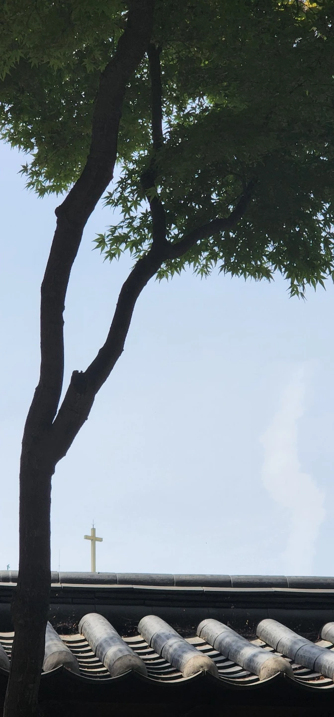 temp_1651443580541.1476627590.jpeg?type=w773