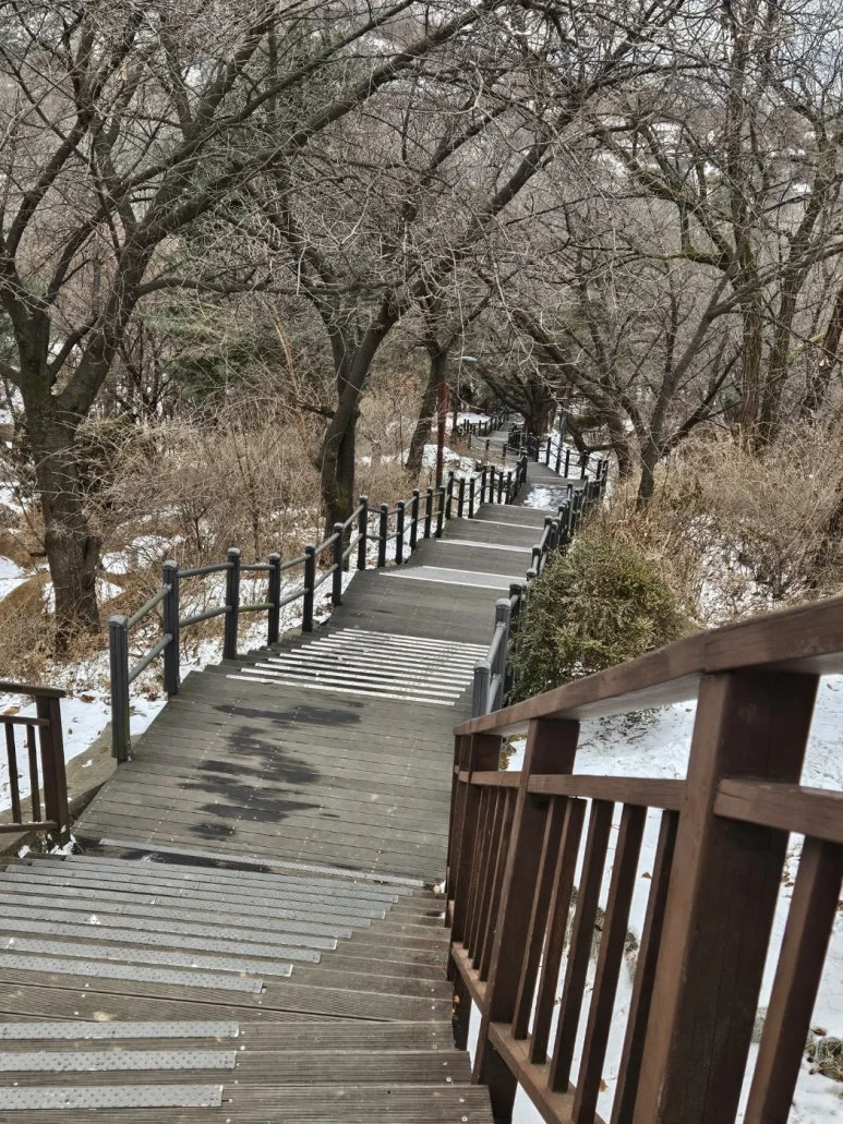 KakaoTalk_20250205_075945161.jpg?type=w773