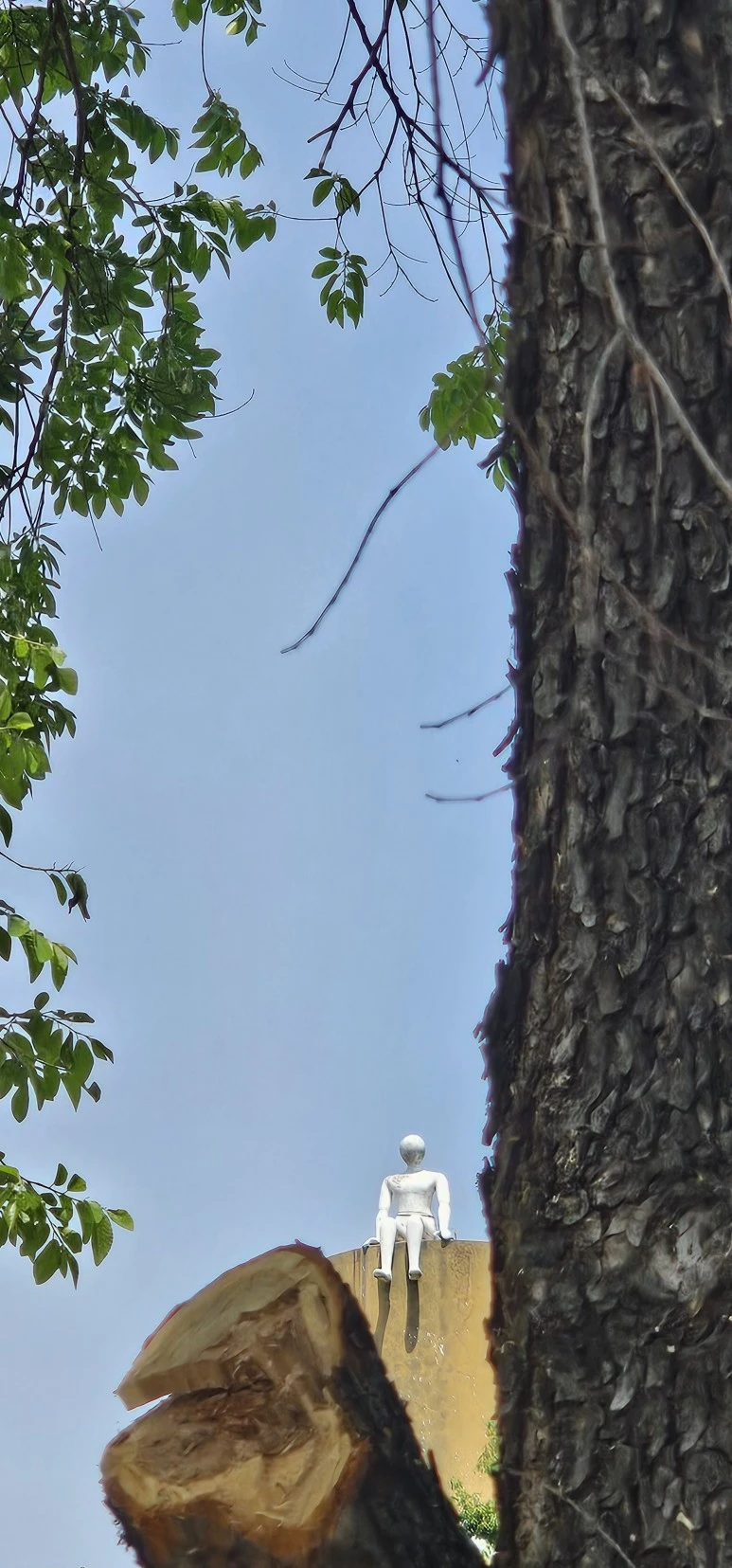 temp_1715043546797.750307403.jpeg?type=w773