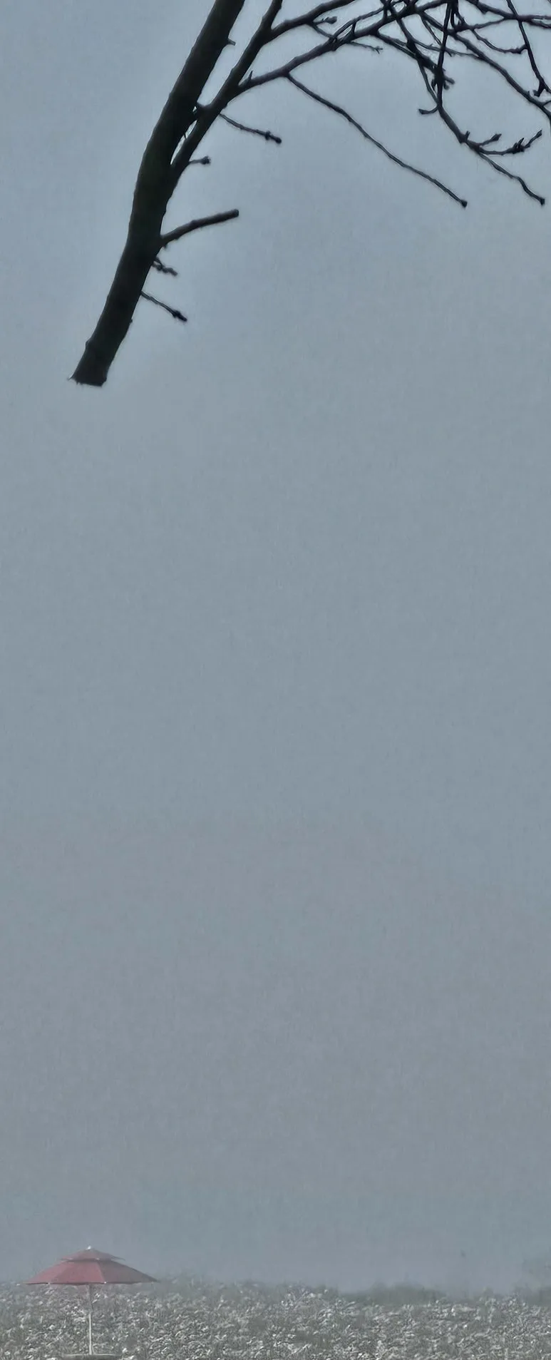 temp_1729549756236.-1746710174.jpeg?type=w773