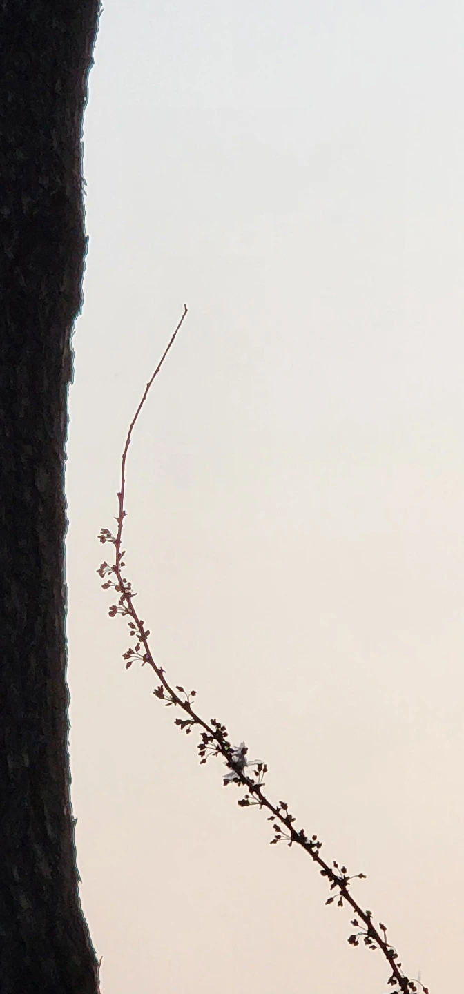 temp_1652739002439.1295336335.jpeg?type=w773