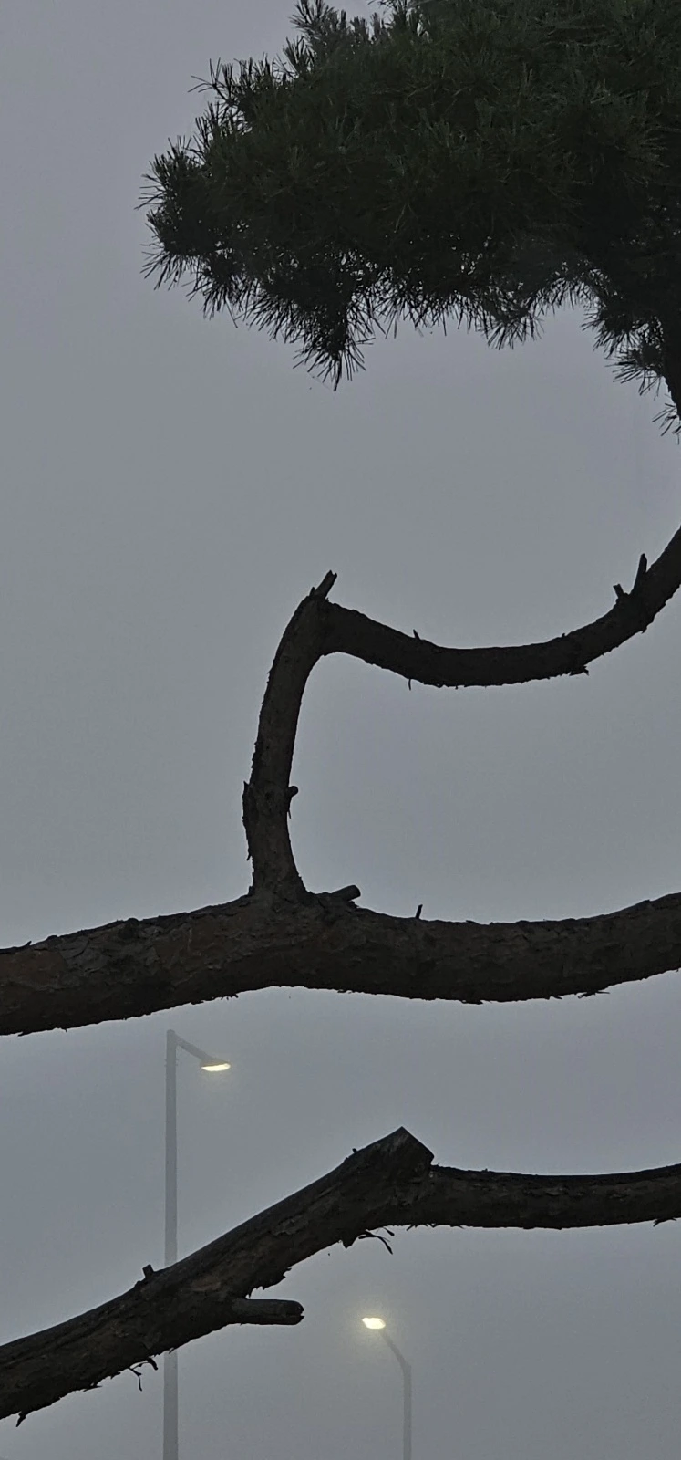 temp_1689287397631.936721610.jpeg?type=w773