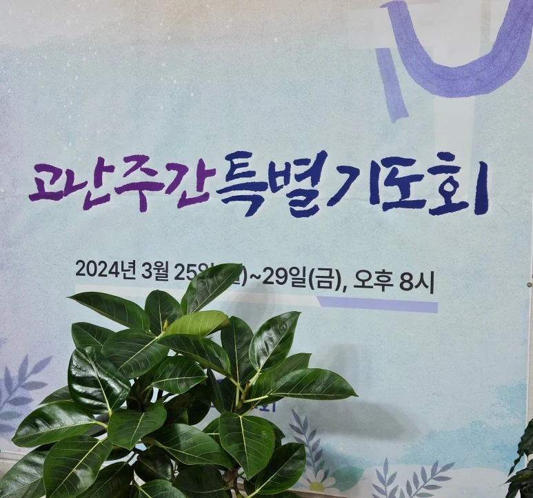 SE-1a84e441-b28d-4e8d-9d03-19bc1a036c45.jpg?type=w773