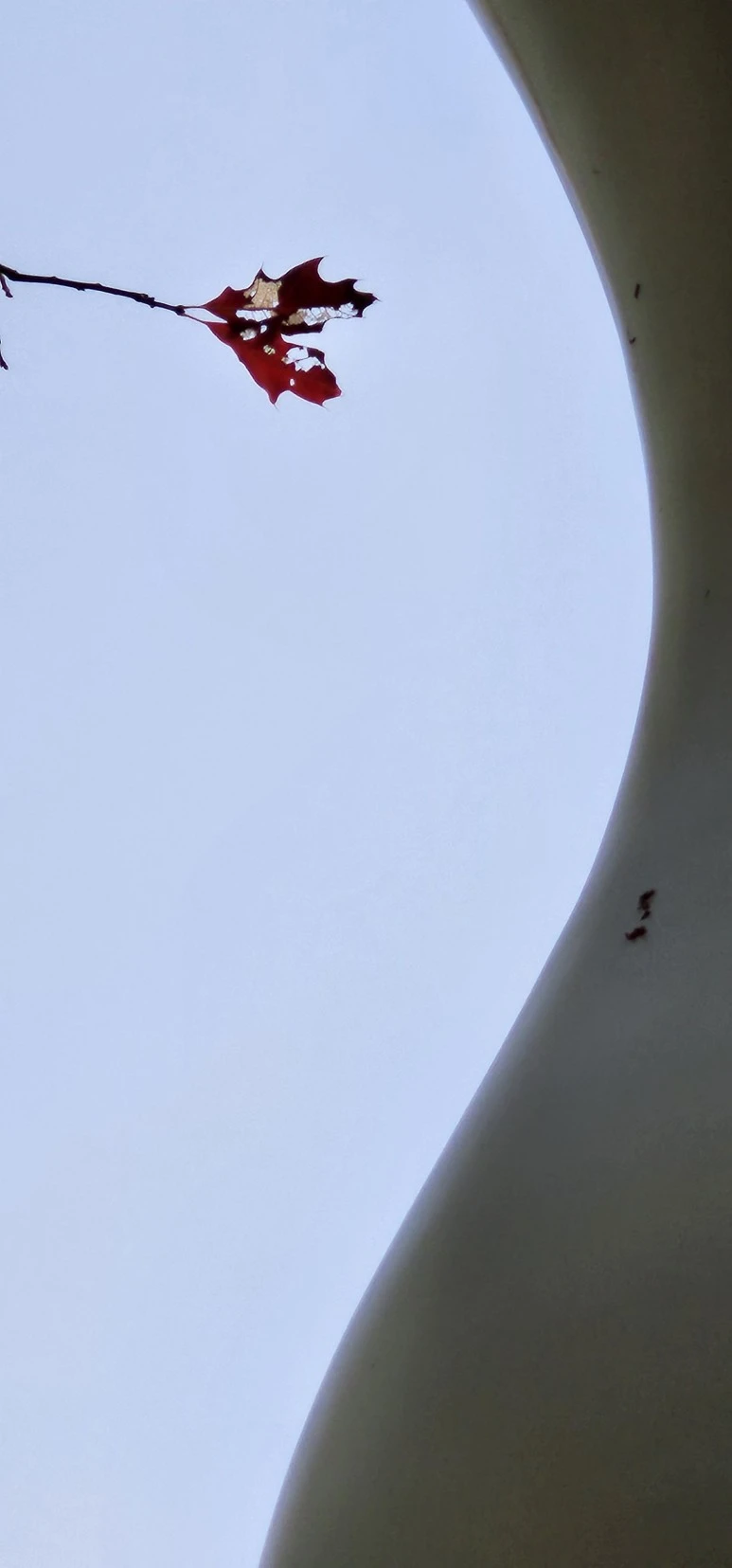 temp_1700692293393.317017535.jpeg?type=w773