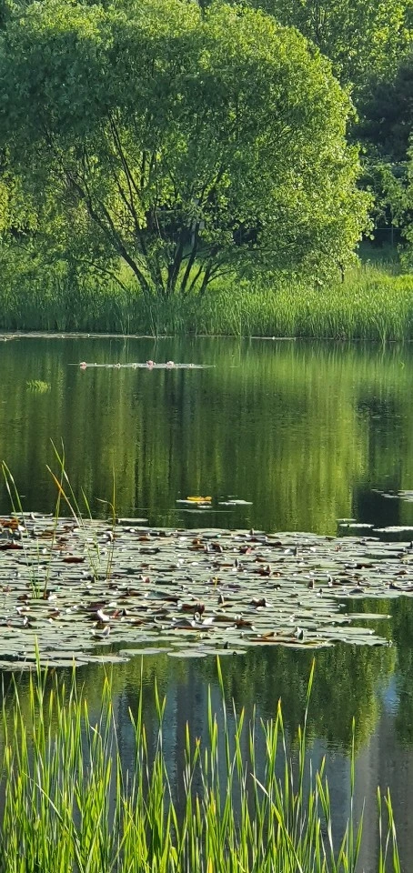 rjdnf.png?type=w1600