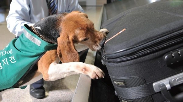 SE-6e5fc16d-3dbd-4741-ba23-75244f5af0e3.jpg?type=w773