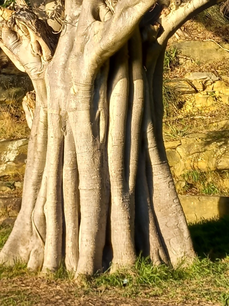 20230519_161406.jpg?type=w773