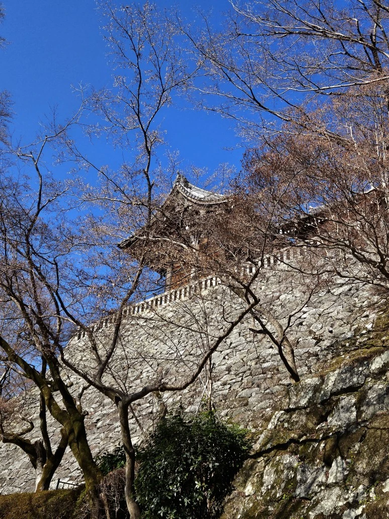 20240117_115731.jpg?type=w773