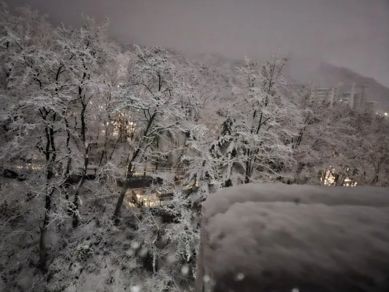 KakaoTalk_20241127_074244360.jpg?type=w773