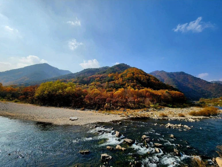 1667772638379.jpg?type=w773