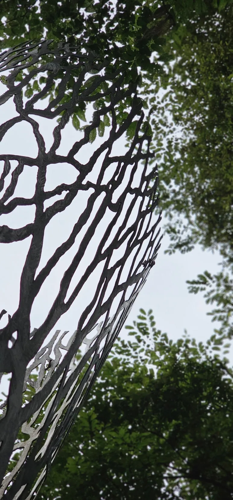 temp_1720650958665.1841971272.jpeg?type=w773