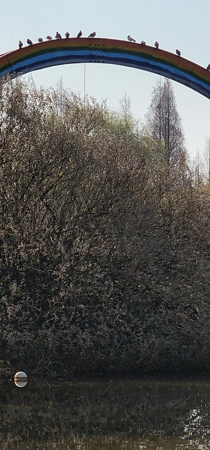 temp_1650235579997.432705172.jpeg?type=w773