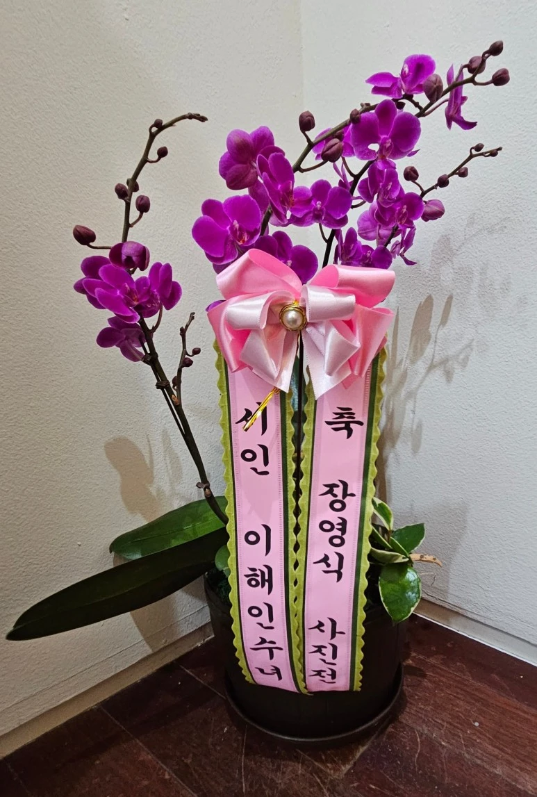 SE-e7735359-9394-4528-a1e9-f6f6dbc94eea.jpg?type=w773