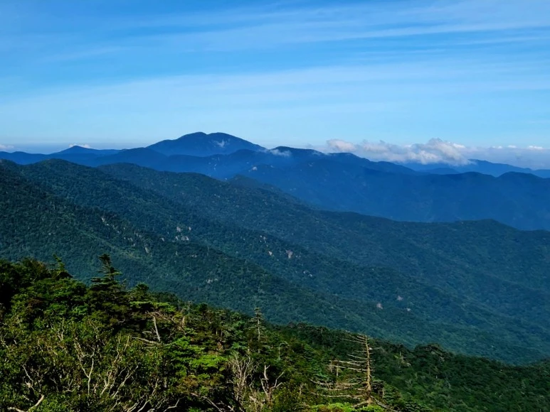 1661810498950-2.jpg?type=w773