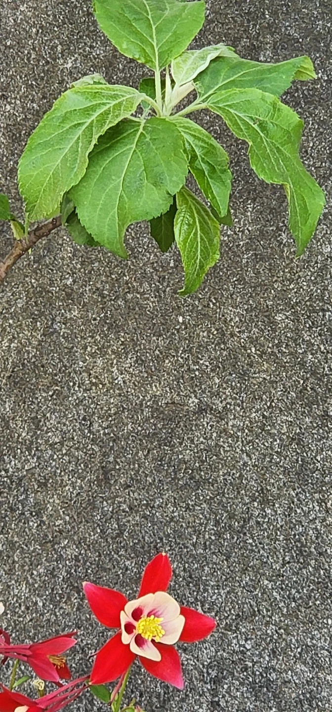 temp_1650321907955.2140743722.jpeg?type=w773