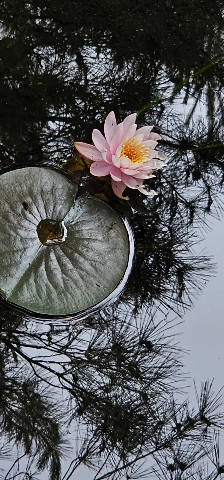 1686520288404.jpg?type=w773