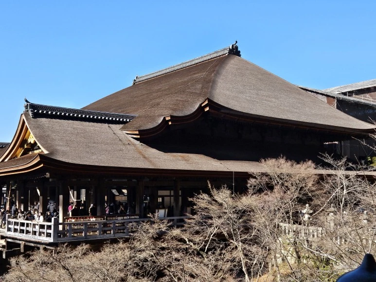 20240117_114705.jpg?type=w773