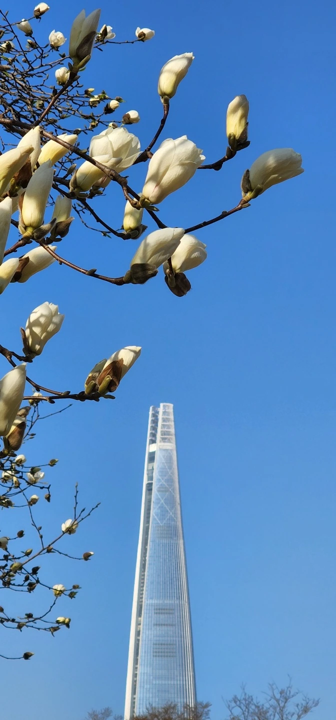 temp_1649106534654.1883148672.jpeg?type=w773