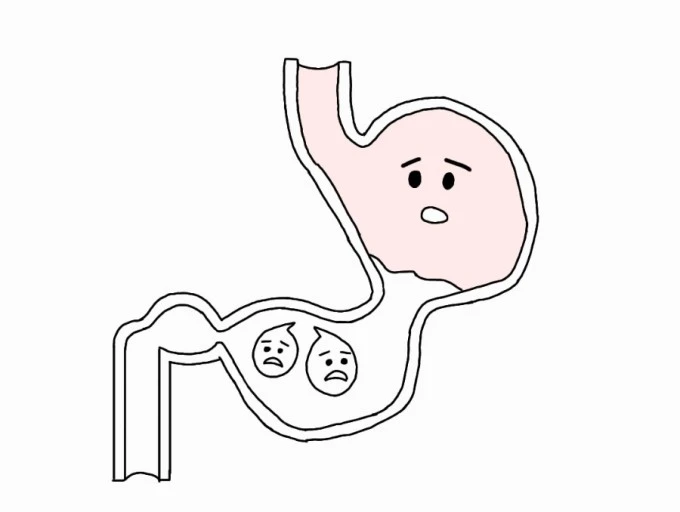 ?src=http%3A%2F%2Fblogfiles.naver.net%2FMjAyMzA3MDdfMjM1%2FMDAxNjg4NzE3MDQyMDM1.DgjIZnWAcaUT012iJk3faCOAi30gyGjdEDZanpc4ypEg.XbQ4KURQts-W-PPvUB58ceyUyDu98U3o5_TiQNcodFQg.JPEG.jcline77%2FScreenshot%25A3%25DF20230707%25A3%25DF163411%25A3%25DFGallery.jpg&type=sc960_832