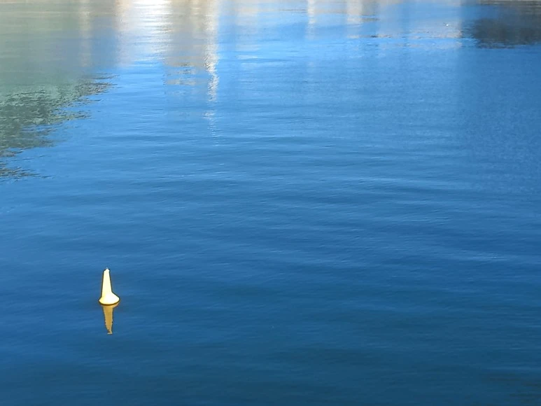 20230522_141630.jpg?type=w773