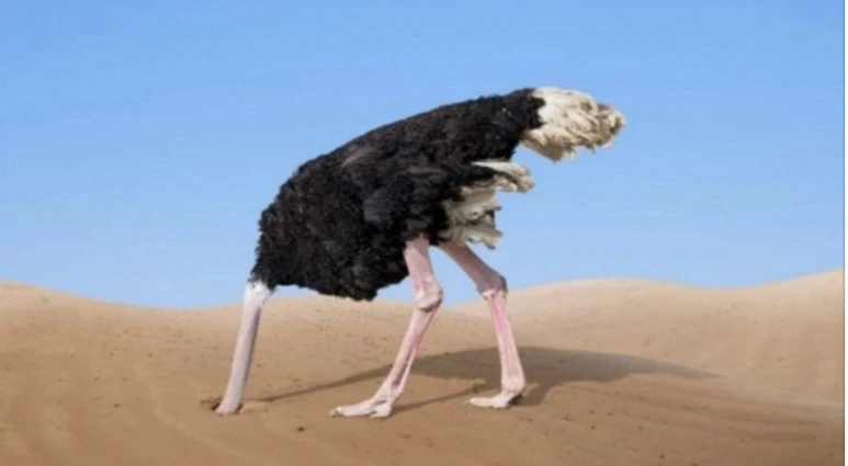 KakaoTalk_20211004_235537521.png?type=w773