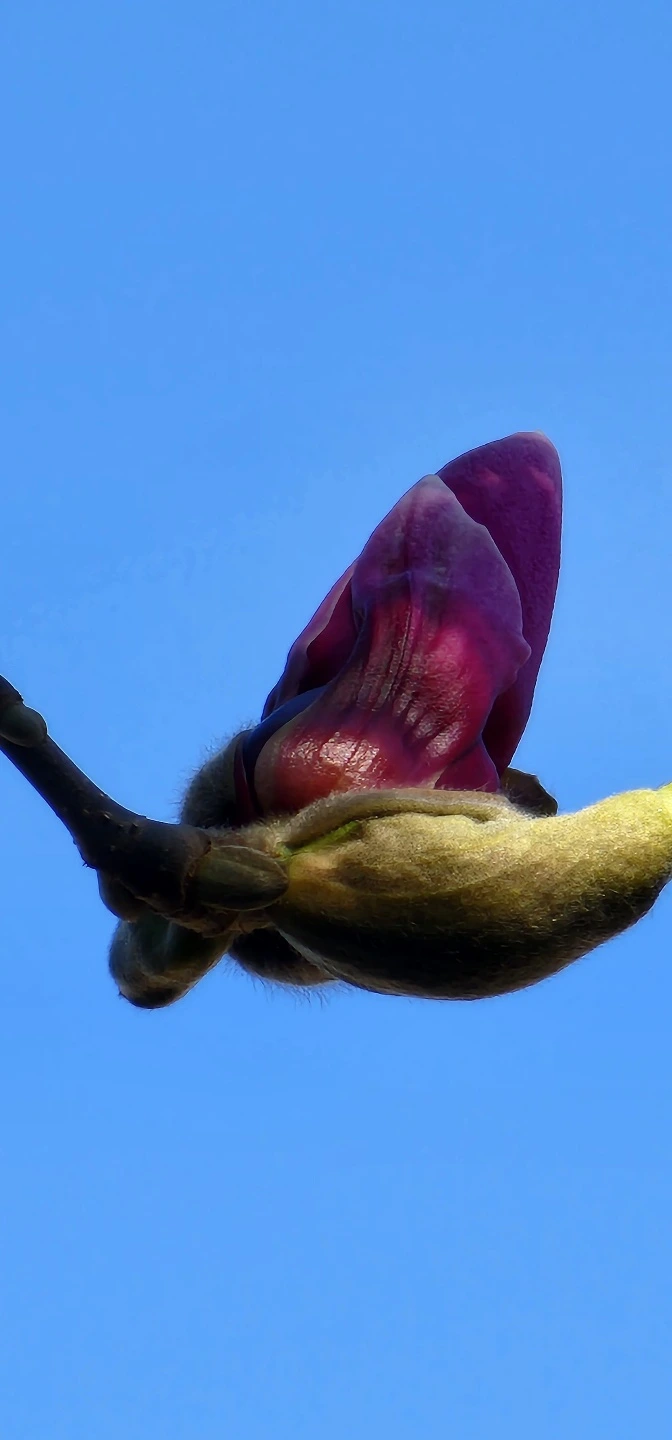 temp_1649629276197.2054581541.jpeg?type=w773