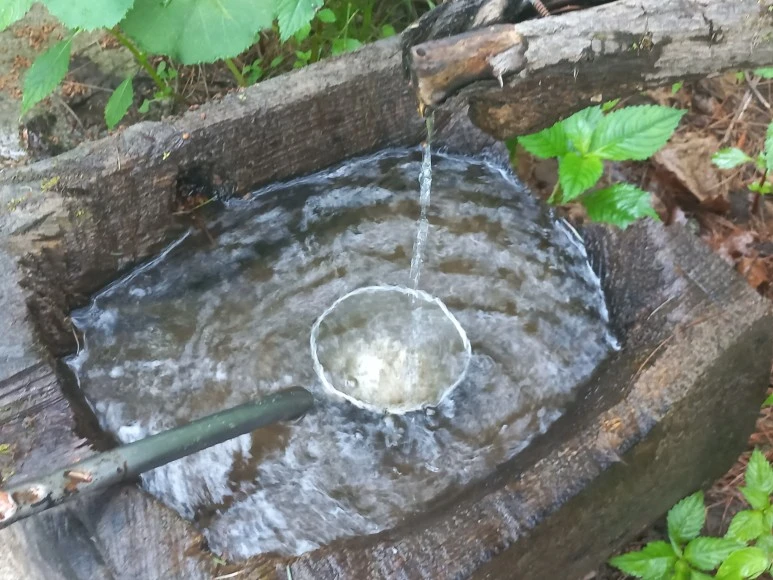 20230608_064618.jpg?type=w773