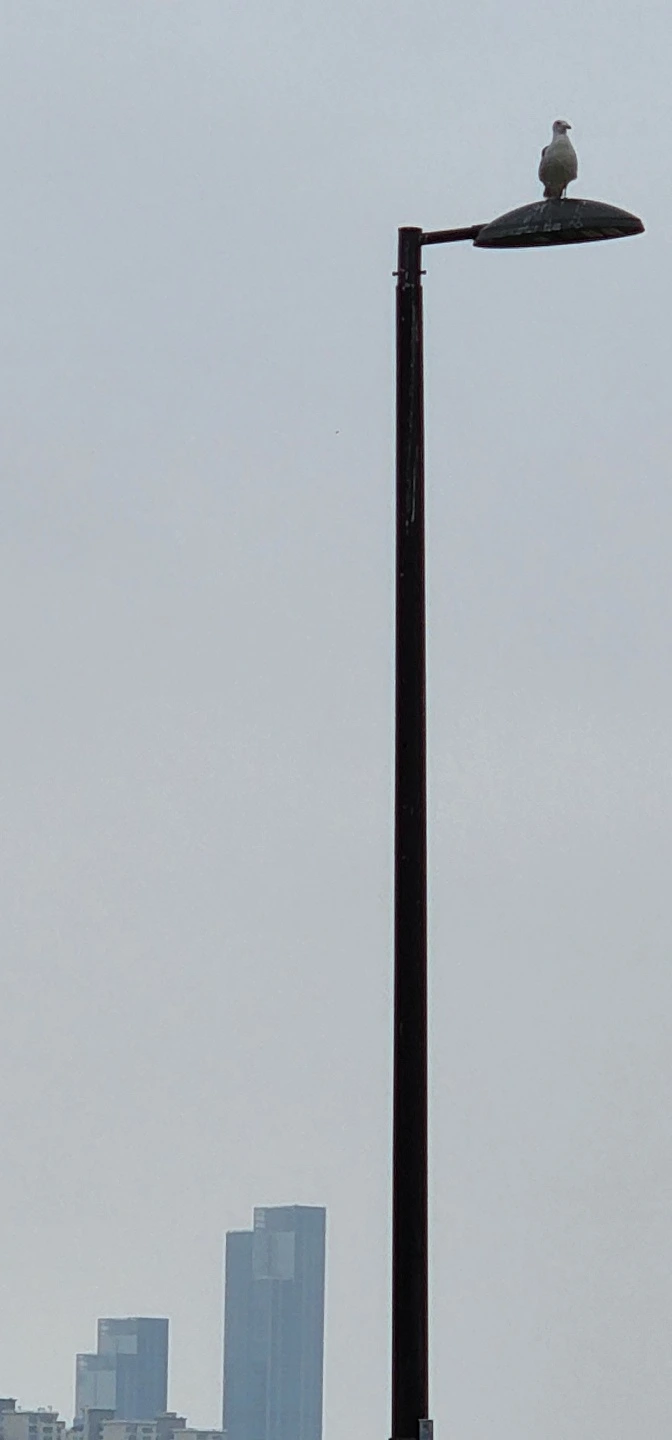 temp_1658702236428.641994229.jpeg?type=w773