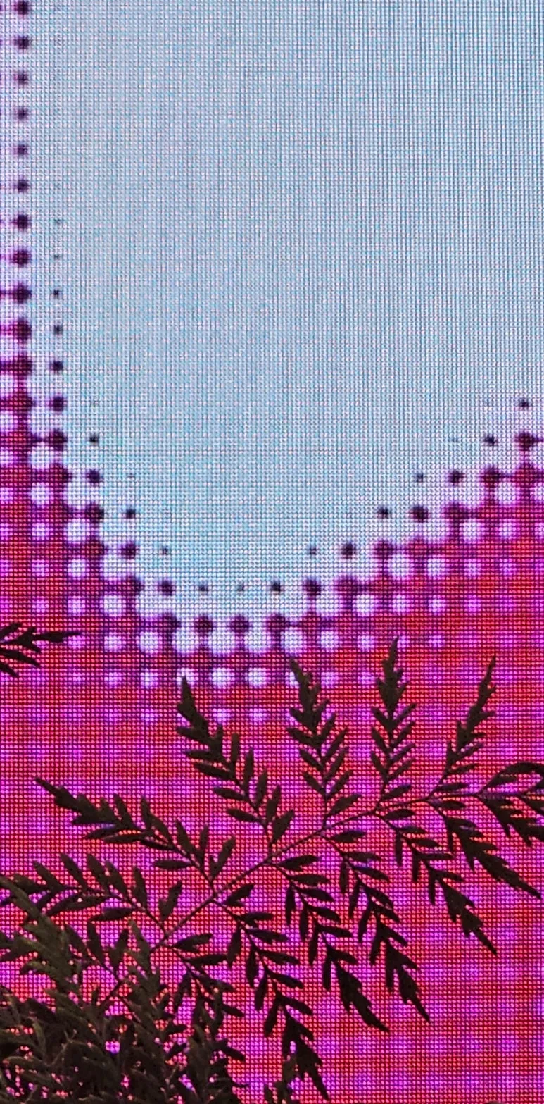 temp_1722898148769.-1807925251.jpeg?type=w773