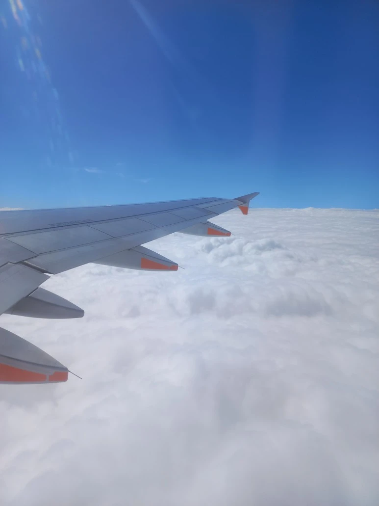 20230426_113627.jpg?type=w773