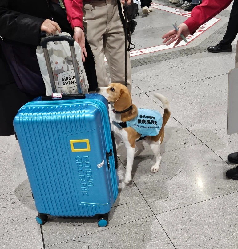 SE-99487fe6-bbaa-4615-9e92-56136f0afe5f.jpg?type=w773