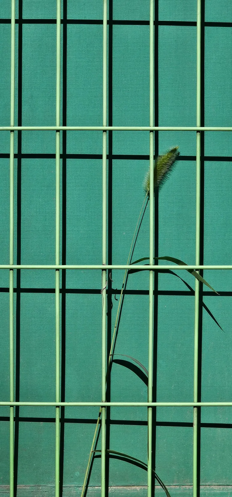 temp_1720392130551.644125221.jpeg?type=w773