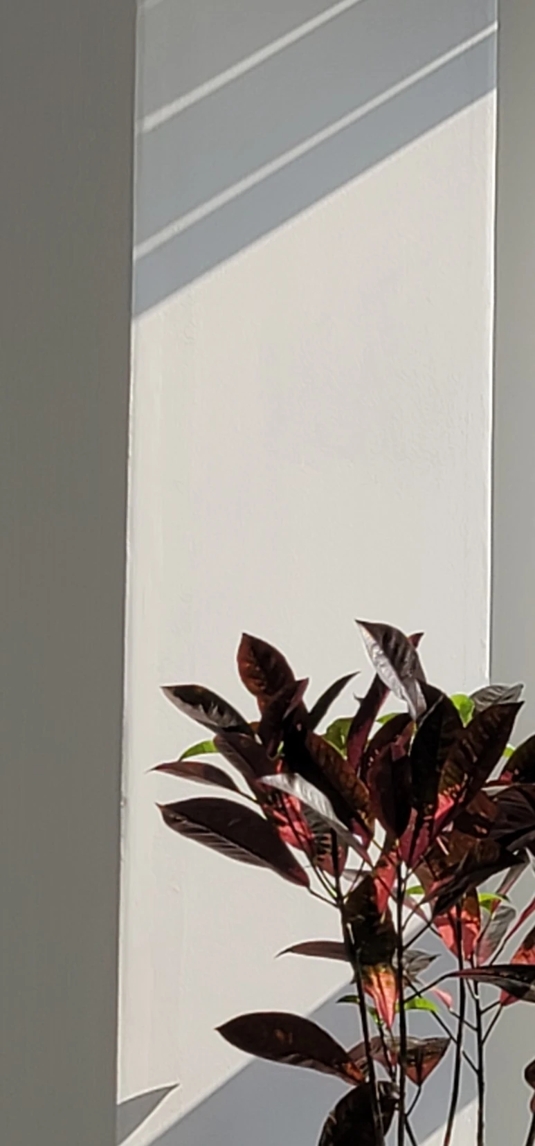 temp_1642456904381.-1397451637.jpeg?type=w773