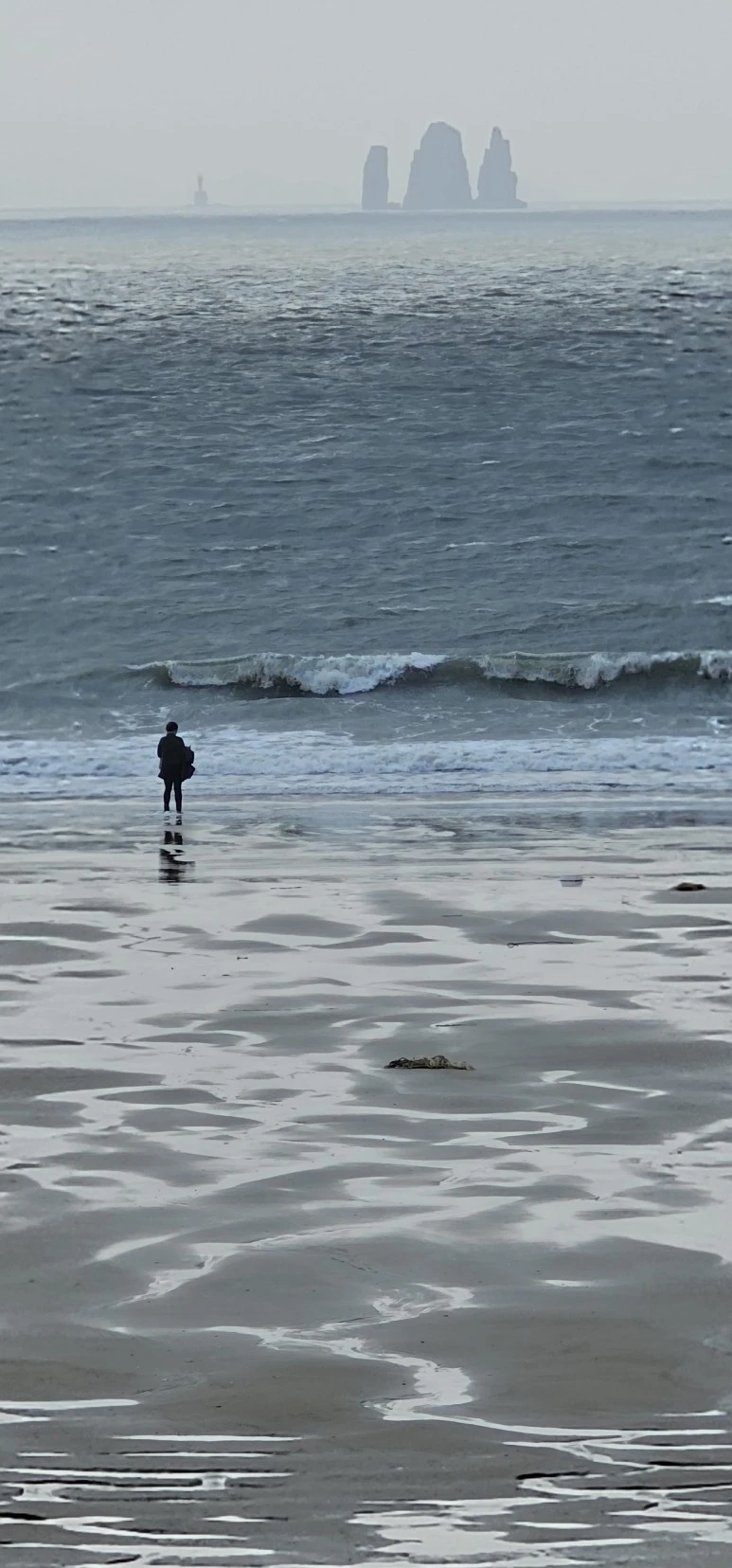 temp_1701296765062.2129614387.jpeg?type=w773