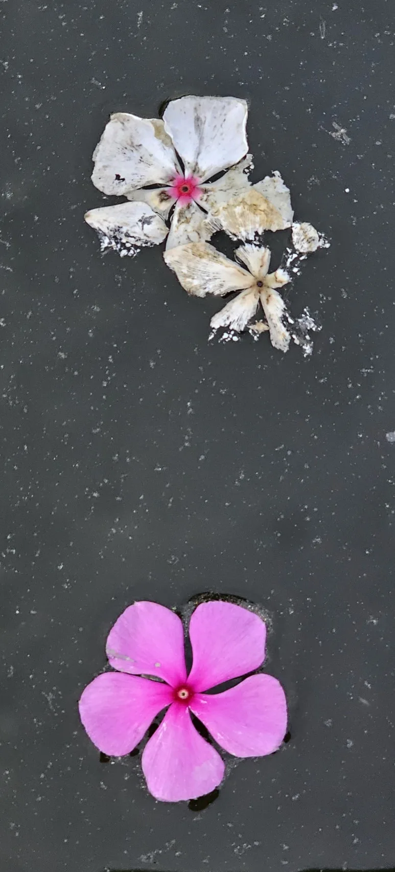 KakaoTalk_20240917_103143035.jpg?type=w773