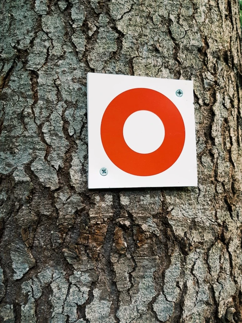 photo-1561577206-feb593895b07.jpg?type=w773