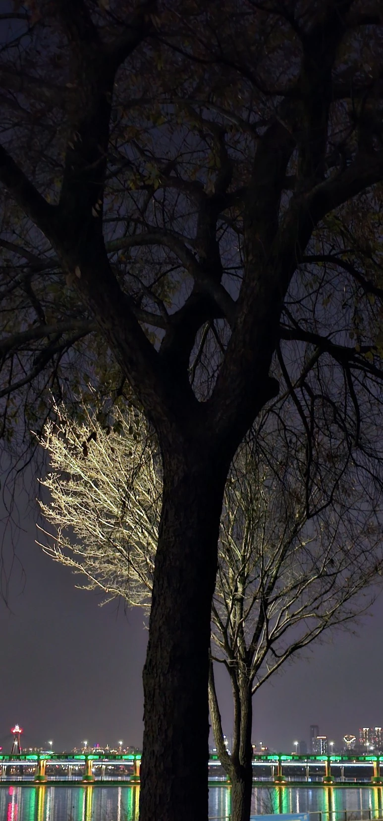 1703111464692.jpg?type=w773