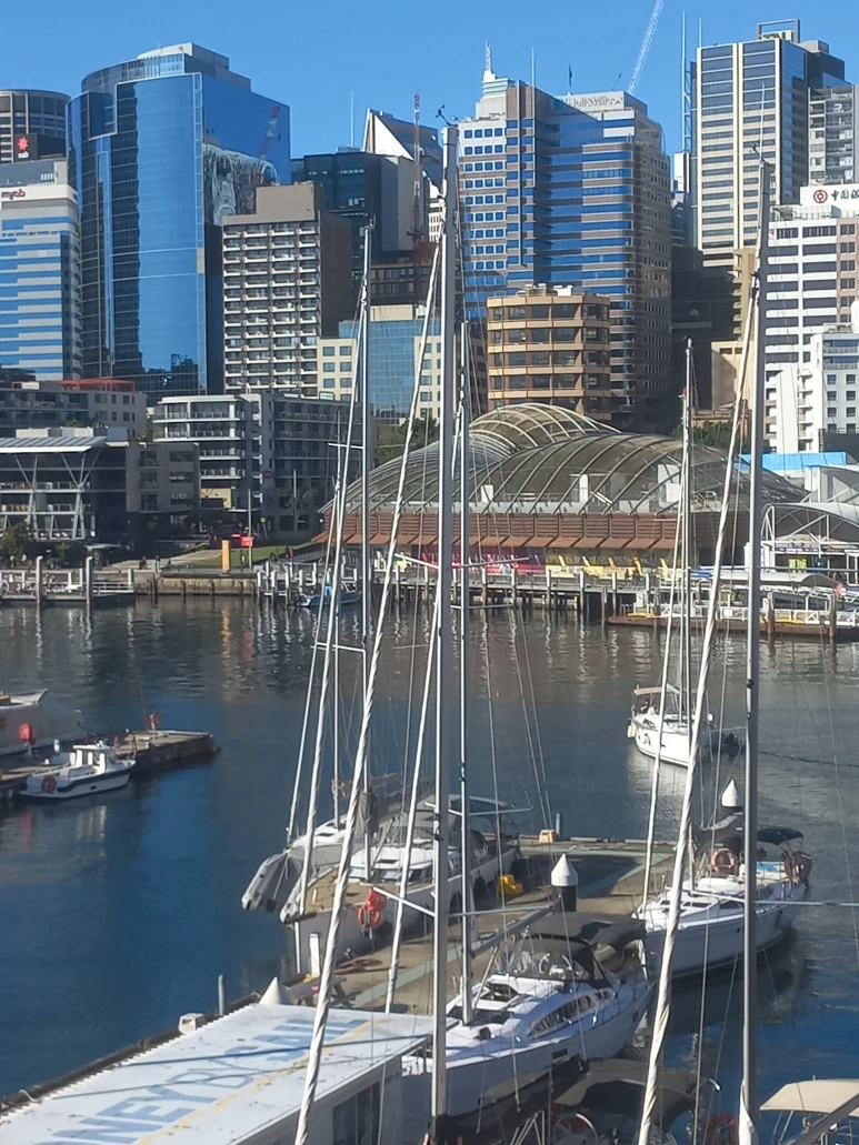 20230522_142416.jpg?type=w773