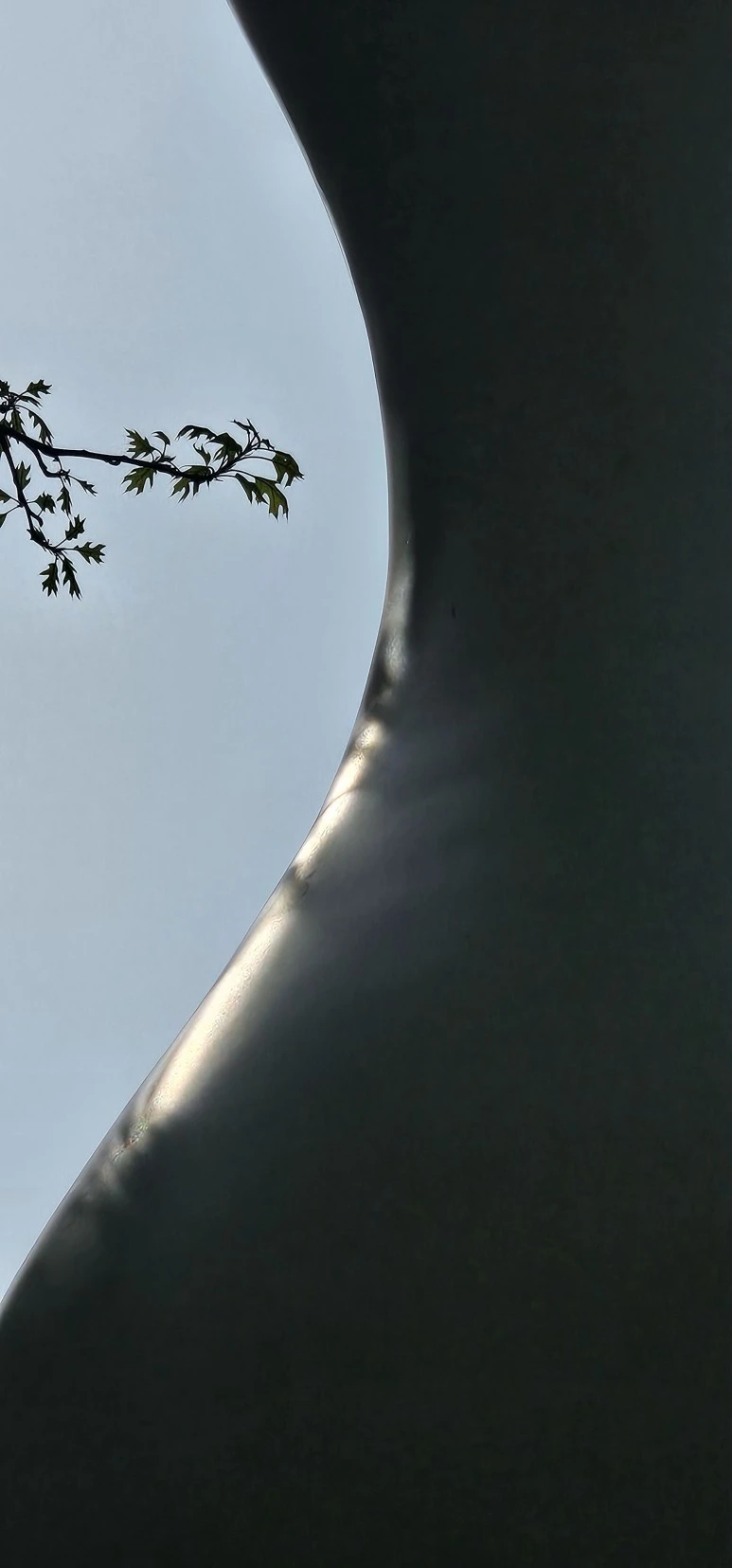 temp_1714517091362.1049055262.jpeg?type=w773